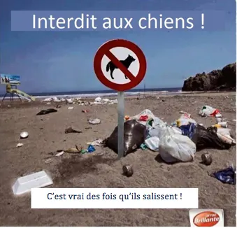 Contradiction de la Plage avec un panneau chiens interdits quand la plage est salie par les humains