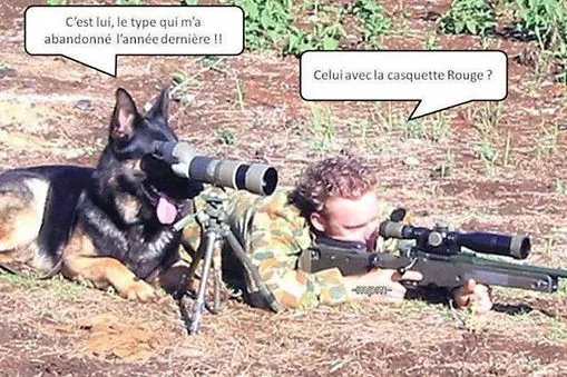 Humour canin avec humain à la chasse
