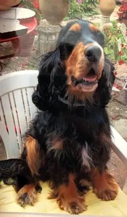 Léty