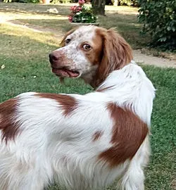 MADDY