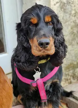 Léna