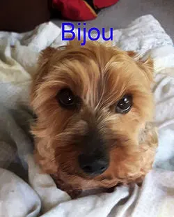 BIJOU