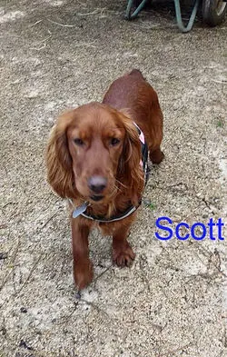 SCOTT